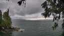 ./images/koeye/fitz-hugh/20260604/fitz-hugh20260604_154502M.jpg