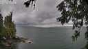 ./images/koeye/fitz-hugh/20260604/fitz-hugh20260604_155002M.jpg