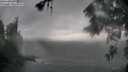 ./images/koeye/fitz-hugh/20260604/fitz-hugh20260604_162501M.jpg