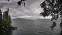 ./images/koeye/fitz-hugh/20260604/fitz-hugh20260604_164001M.jpg
