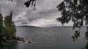 ./images/koeye/fitz-hugh/20260604/fitz-hugh20260604_165001M.jpg