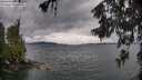 ./images/koeye/fitz-hugh/20260604/fitz-hugh20260604_170001M.jpg