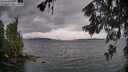 ./images/koeye/fitz-hugh/20260604/fitz-hugh20260604_170501M.jpg