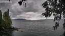 ./images/koeye/fitz-hugh/20260604/fitz-hugh20260604_172001M.jpg
