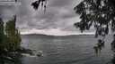 ./images/koeye/fitz-hugh/20260604/fitz-hugh20260604_173001M.jpg