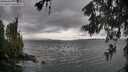 ./images/koeye/fitz-hugh/20260604/fitz-hugh20260604_174501M.jpg