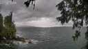 ./images/koeye/fitz-hugh/20260604/fitz-hugh20260604_175501M.jpg
