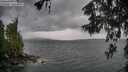 ./images/koeye/fitz-hugh/20260604/fitz-hugh20260604_182001M.jpg