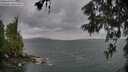 ./images/koeye/fitz-hugh/20260604/fitz-hugh20260604_190501M.jpg