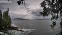./images/koeye/fitz-hugh/20260604/fitz-hugh20260604_195001M.jpg