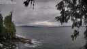 ./images/koeye/fitz-hugh/20260604/fitz-hugh20260604_200501M.jpg