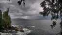 ./images/koeye/fitz-hugh/20260604/fitz-hugh20260604_203001M.jpg