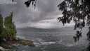 ./images/koeye/fitz-hugh/20260604/fitz-hugh20260604_204502M.jpg