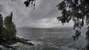 ./images/koeye/fitz-hugh/20260604/fitz-hugh20260604_205001M.jpg