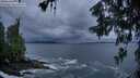 ./images/koeye/fitz-hugh/20260604/fitz-hugh20260604_220002M.jpg