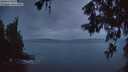 ./images/koeye/fitz-hugh/20260605/fitz-hugh20260605_044001M.jpg