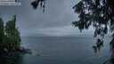 ./images/koeye/fitz-hugh/20260605/fitz-hugh20260605_051501M.jpg