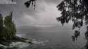 ./images/koeye/fitz-hugh/20260605/fitz-hugh20260605_064501M.jpg