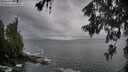 ./images/koeye/fitz-hugh/20260605/fitz-hugh20260605_065501M.jpg