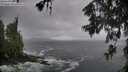 ./images/koeye/fitz-hugh/20260605/fitz-hugh20260605_071001M.jpg
