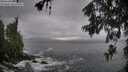 ./images/koeye/fitz-hugh/20260605/fitz-hugh20260605_071501M.jpg