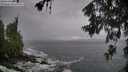 ./images/koeye/fitz-hugh/20260605/fitz-hugh20260605_073002M.jpg