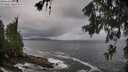 ./images/koeye/fitz-hugh/20260605/fitz-hugh20260605_084001M.jpg