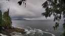./images/koeye/fitz-hugh/20260605/fitz-hugh20260605_084501M.jpg