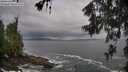 ./images/koeye/fitz-hugh/20260605/fitz-hugh20260605_085001M.jpg