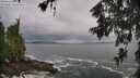 ./images/koeye/fitz-hugh/20260605/fitz-hugh20260605_085501M.jpg