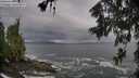 ./images/koeye/fitz-hugh/20260605/fitz-hugh20260605_090002M.jpg