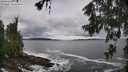./images/koeye/fitz-hugh/20260605/fitz-hugh20260605_092002M.jpg
