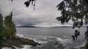 ./images/koeye/fitz-hugh/20260605/fitz-hugh20260605_093002M.jpg