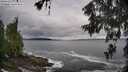./images/koeye/fitz-hugh/20260605/fitz-hugh20260605_093501M.jpg