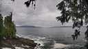./images/koeye/fitz-hugh/20260605/fitz-hugh20260605_102502M.jpg