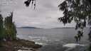 ./images/koeye/fitz-hugh/20260605/fitz-hugh20260605_111502M.jpg