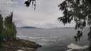 ./images/koeye/fitz-hugh/20260605/fitz-hugh20260605_112002M.jpg