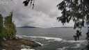 ./images/koeye/fitz-hugh/20260605/fitz-hugh20260605_113002M.jpg
