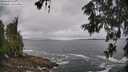 ./images/koeye/fitz-hugh/20260605/fitz-hugh20260605_115001M.jpg