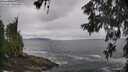 ./images/koeye/fitz-hugh/20260605/fitz-hugh20260605_115502M.jpg