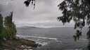 ./images/koeye/fitz-hugh/20260605/fitz-hugh20260605_120001M.jpg