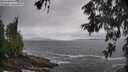 ./images/koeye/fitz-hugh/20260605/fitz-hugh20260605_120501M.jpg