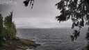 ./images/koeye/fitz-hugh/20260605/fitz-hugh20260605_121001M.jpg