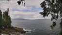./images/koeye/fitz-hugh/20260605/fitz-hugh20260605_123501M.jpg