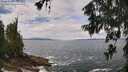 ./images/koeye/fitz-hugh/20260605/fitz-hugh20260605_124001M.jpg