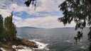 ./images/koeye/fitz-hugh/20260605/fitz-hugh20260605_124501M.jpg