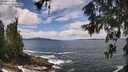 ./images/koeye/fitz-hugh/20260605/fitz-hugh20260605_125501M.jpg