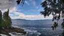 ./images/koeye/fitz-hugh/20260605/fitz-hugh20260605_130501M.jpg