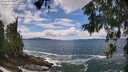 ./images/koeye/fitz-hugh/20260605/fitz-hugh20260605_131001M.jpg