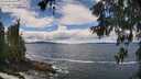 ./images/koeye/fitz-hugh/20260605/fitz-hugh20260605_133001M.jpg